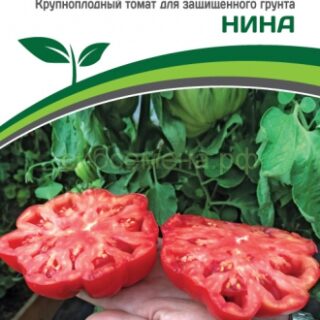 Томат Нина (Партнер)