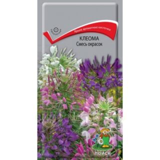 Клеома Смесь окрасок (П)