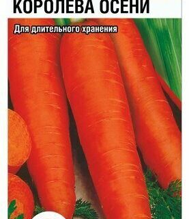 Морковь Королева осени 2гр. /СибСад/