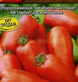 Томат Дрова красный (Аэлита)