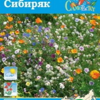 Газон цв. Сибиряк 30гр. (НК)