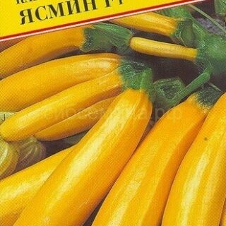 Кабачок Ясмин F1 5шт (Престиж)