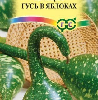 Лагенария Гусь в яблоках (Гавр)