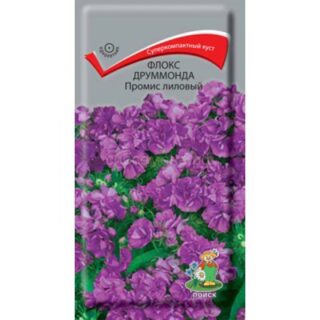 Флокс Промис лиловый (одн) (П)