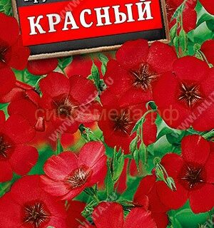 Лен КРУПНОЦВЕТКОВЫЙ КРАСНЫЙ /Аэлита/