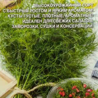 Укроп быстроотрастающий (УД)