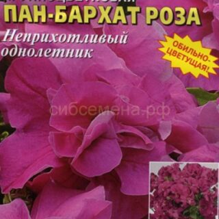 Петуния ПАН-БАРХАТ роза F1 махровая /А/