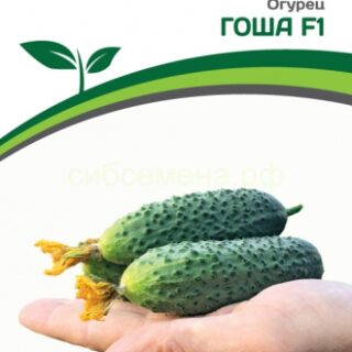 Огурец Гоша F1 (Партнер)
