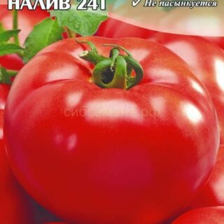 Томат Белый налив 241, 0,2г (цв.)