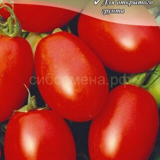 Томат Челнок, 0,2г (цв.)