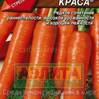 Морковь ВАРВАРА КРАСА /Аэлита/ 2гр