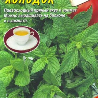 Мята перечная ХОЛОДОК /Аэлита/ 0,05гр