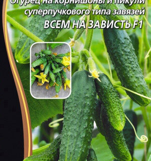 Огурец Всем на зависть F1 (УД)
