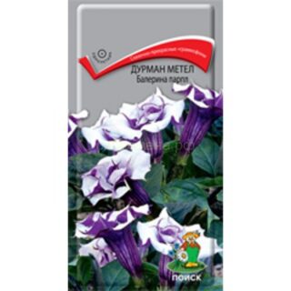 Дурман метел.Балерина Парпл /П/