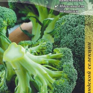 Капуста брокколи ФИЕСТА F1 /цв/ 10шт. Бейо
