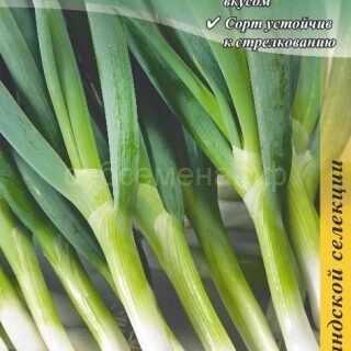Лук на зелень ПАРАДЕ /цв./0,2гр