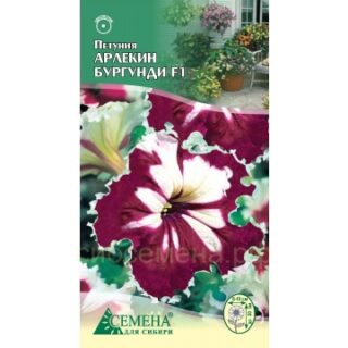 Петуния Арлекин Бургунди F1, 10сем (цв.)