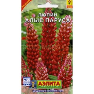 Люпин АЛЫЕ ПАРУСА /Аэлита/