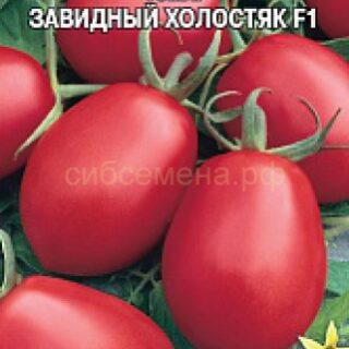 Томат Завидный холостяк F1 (Премиум)