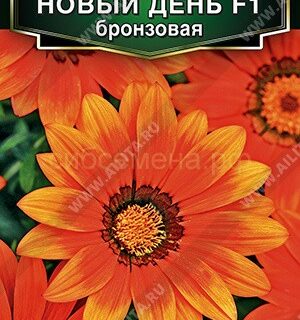 Гацания НОВЫЙ ДЕНЬ F1, бронзовая /Аэлита/5шт.