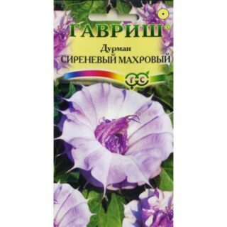 Дурман сиреневый махровый /Гавриш/