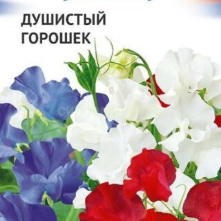Душистый горошек ТРИКОЛОР смесь  /Гавриш/