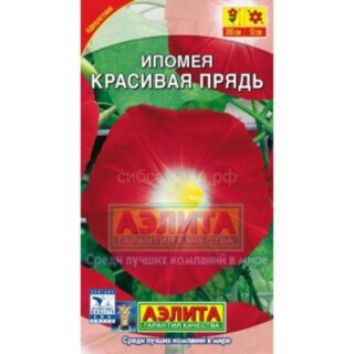 Ипомея Красивая прядь /Аэлита/