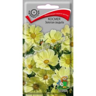 Космея Золотая свадьба  /П/