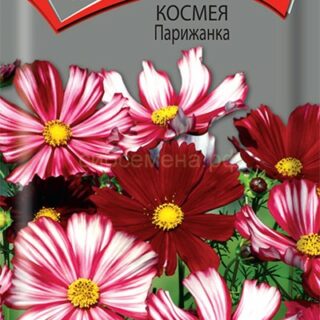 Космея Парижанка смесь /П/