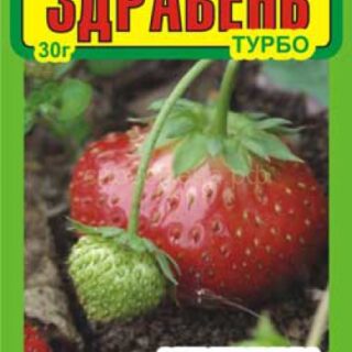 Здравень ТУРБО клубника 30гр