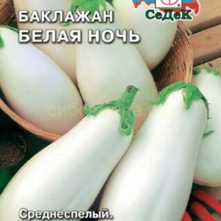 Баклажан БЕЛАЯ НОЧЬ /СеДеК/