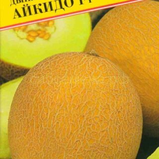 Дыня АЙКИДО /Престиж/