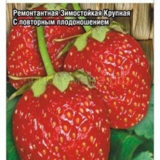 Земляника ТРИСТАР ремонтантная /Сиб Сад/