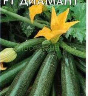 Кабачок ДИАМАНТ /Гавриш/