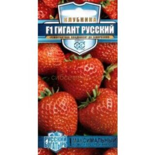 Клубника Гигант Русский /Гавриш/