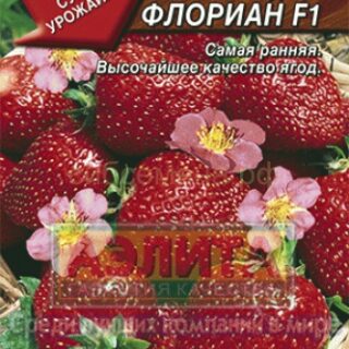 Клубника ФЛОРИАН /Гавриш/