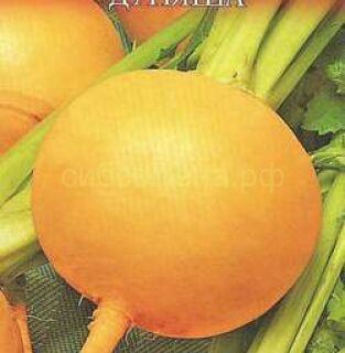 Репа ДУНЯША /Гавриш/