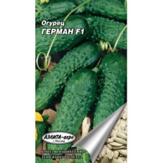 Огурец ГЕРМАН F1 /Аэлита/.