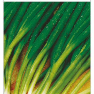 Лук батун Зимний /Сиб сад/