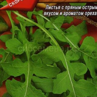 Индау (рукола) КОРЕЯНКА /Аэлита/3гр. сем