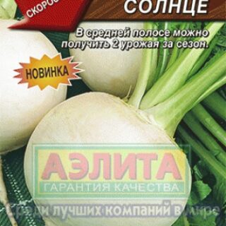 Дайкон БЕЛОЕ СОЛНЦЕ /Аэлита/ 1гр