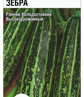 Кабачок Зебра /Сиб сад/