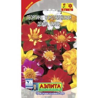 Георгина ДЕНДИ воротничковая,смесь /Аэлита/0,3гр.