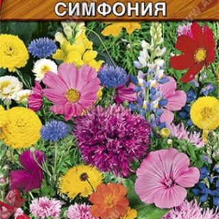 Смесь цветов ЛЕТНЯЯ СИМФОНИЯ /Аэлита/5гр.