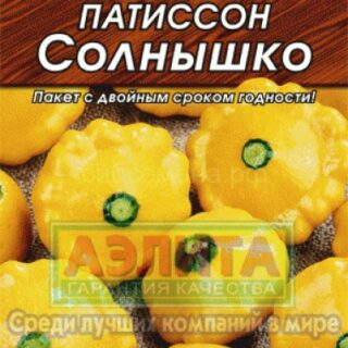 Патиссон СОЛНЫШКО /Аэлита/