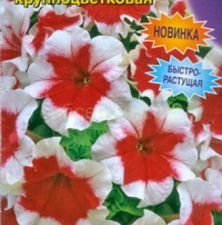 Петуния АЛЕКСАНДРА F1 крупноцветковая /Аэлита/