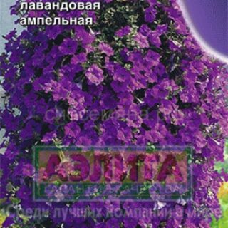 Петуния ВАНДЕР ВЕЙВ F1 лавандовая /Аэлита/