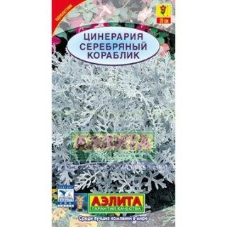 Цинерария СЕРЕБРЯННЫЙ КОРАБЛИК /Аэлита/