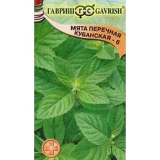 Мята перечная КУБАНСКАЯ 6 /Гавриш/