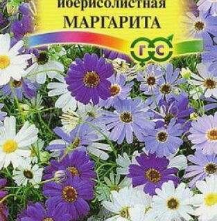 Брахикома МАРГАРИТА смесь/Гарвиш/